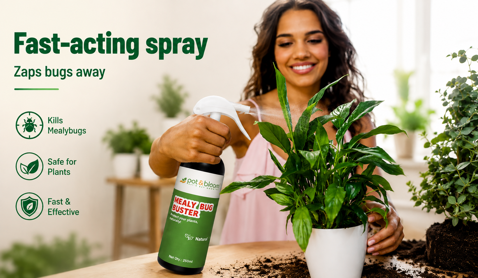 Neem Oil vs Alcohol vs Ready-to-Use Spray: What Actually Kills Mealybugs on Indian Houseplants?