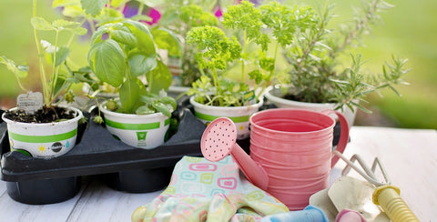 Unleash Your Inner Gardener: Unlock The Power Of These Five Must-Have Gardening Tools