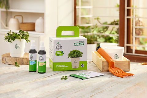 A Taste of Nature: Must-Have Herbs to Cultivate in Your Home Garden