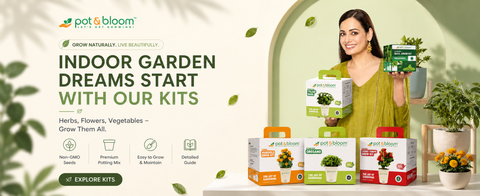 Herb Grow Kits