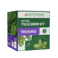 Festive gift boxes