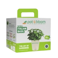 Corporate wellness kits