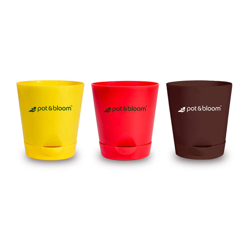 5-inch self-watering Pot - Set of 3