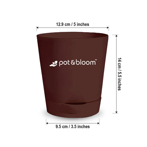 5-inch self-watering Pot - Set of 3