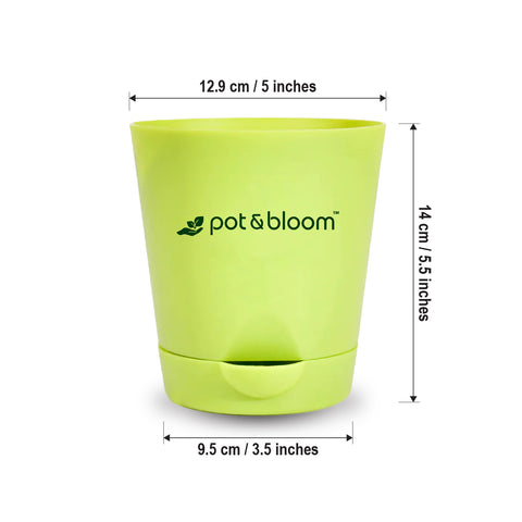 5-inch self-watering Pot - Set of 4