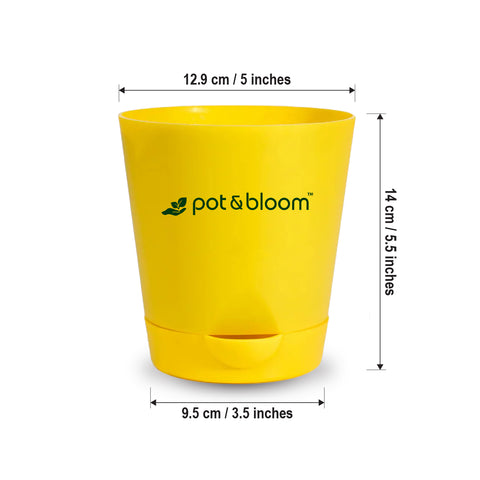 5-inch self-watering Pot - Set of 4