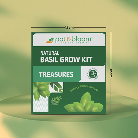Treasures Basil Kit