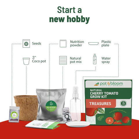Treasures Cherry Tomato Kit