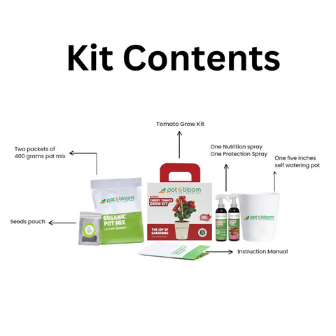 Cherry Tomato Grow Kit (medium)