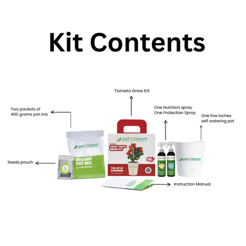 Cherry Tomato Grow Kit (medium)