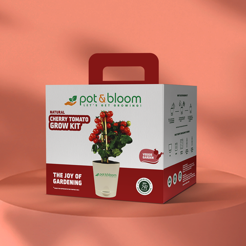 Cherry Tomato Grow Kit (medium)