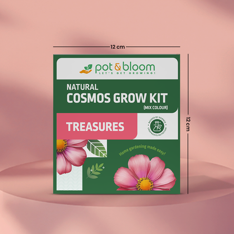 Treasures Cosmos Grow Kit