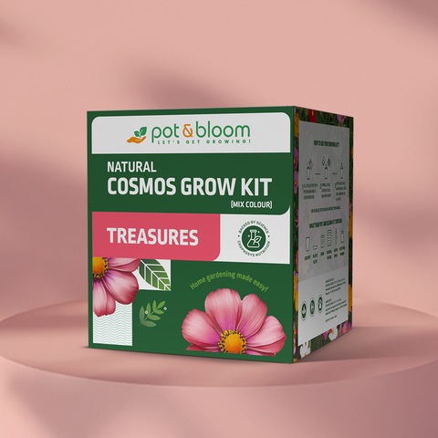 Treasures Cosmos Grow Kit