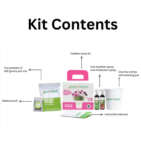 Cosmos Grow Kit (Medium)