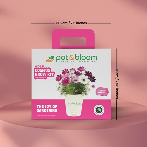 Cosmos Grow Kit (Medium)