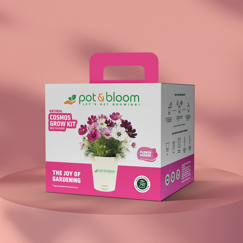 Cosmos Grow Kit (Medium)