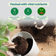 Cow Manure 5 KG