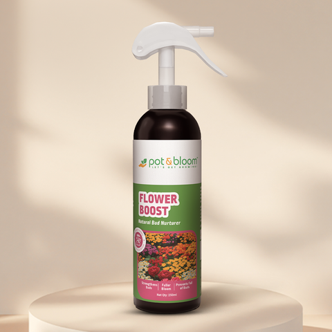 Flower Boost 250 ml