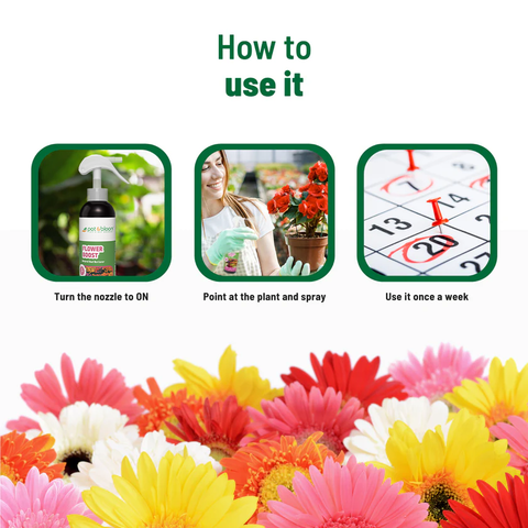 Flower Boost 250 ml
