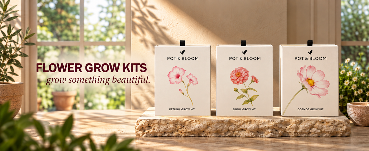 Flower Grow Kits
