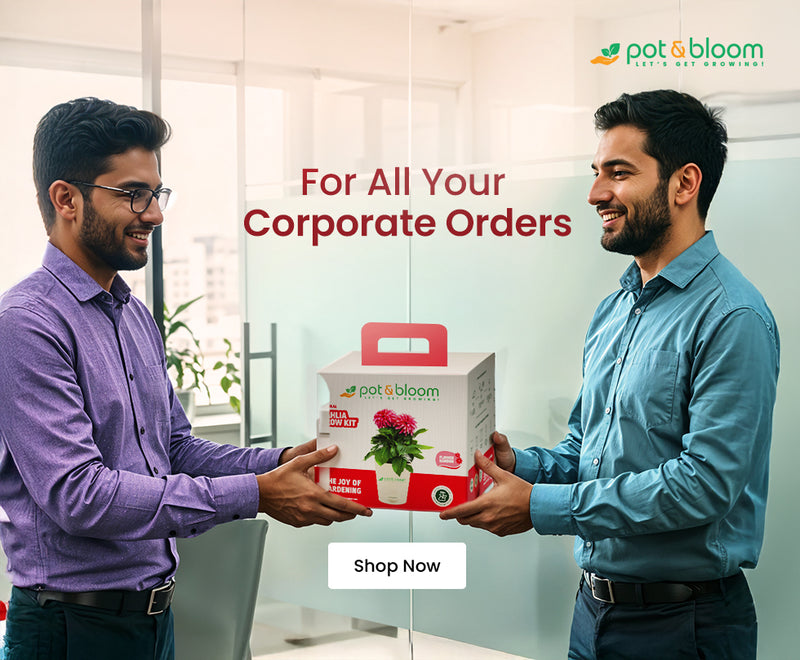 Pot & Bloom corporate gifting