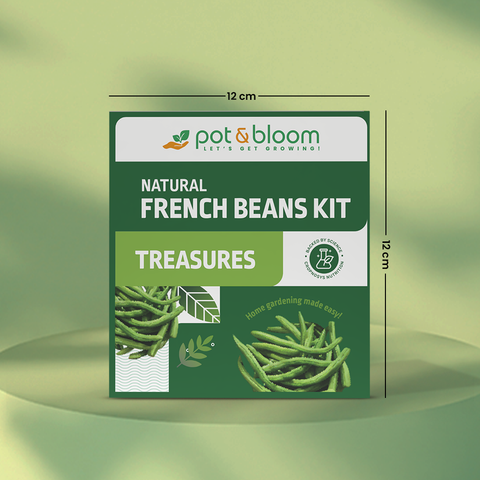 Treasures French Beans Grow Kit