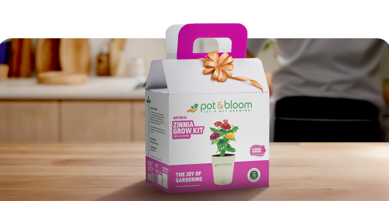 Festive and wellness gift hampers