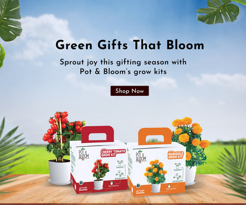 Garden Kits
