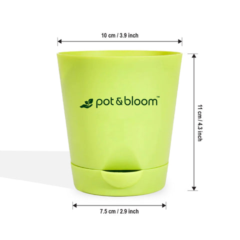 4-inch self-watering Pot - Set of 5
