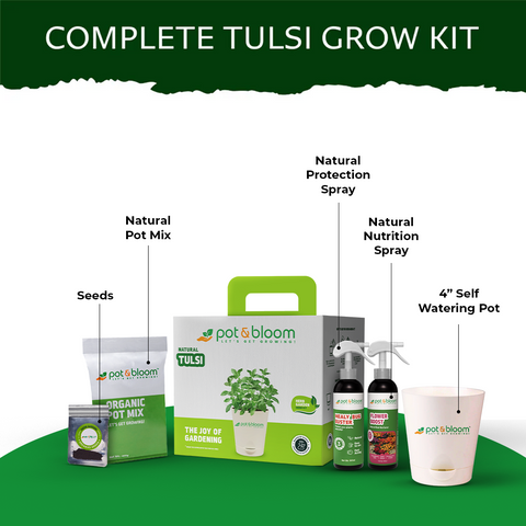 potting mix for tulsi Tulsi Grow Kit – Pot and Bloom
