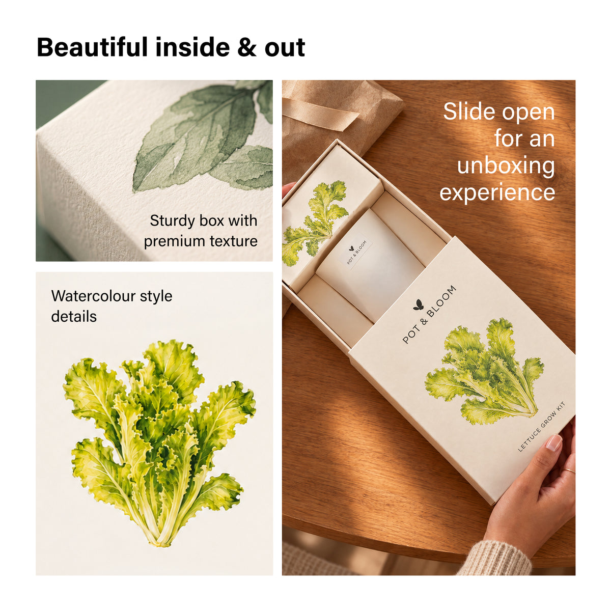 Lettuce Grow Kit