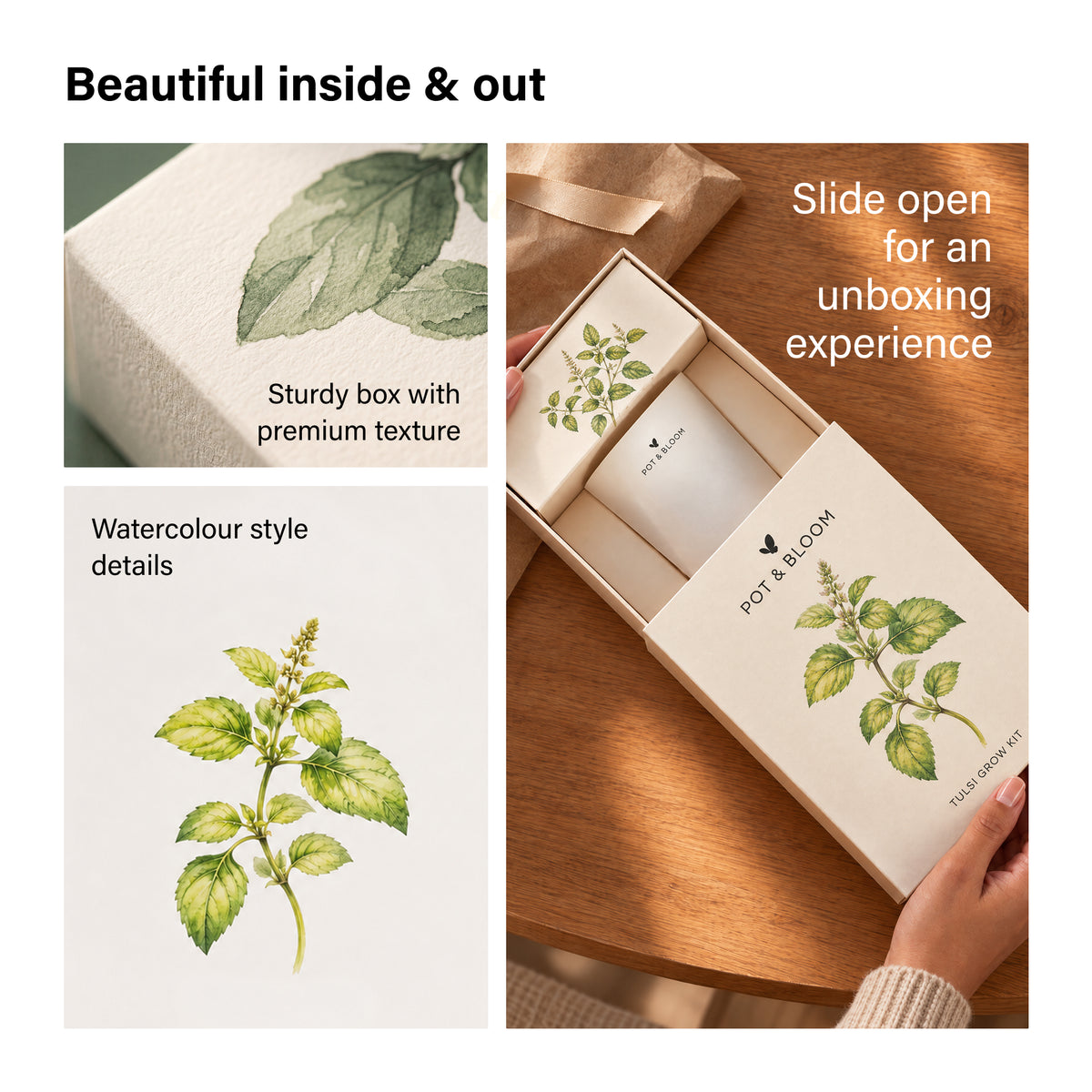 Tulsi Grow Kit