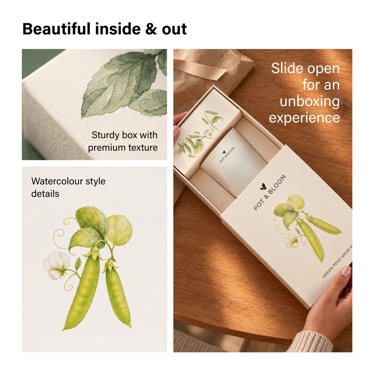 Peas Grow Kit