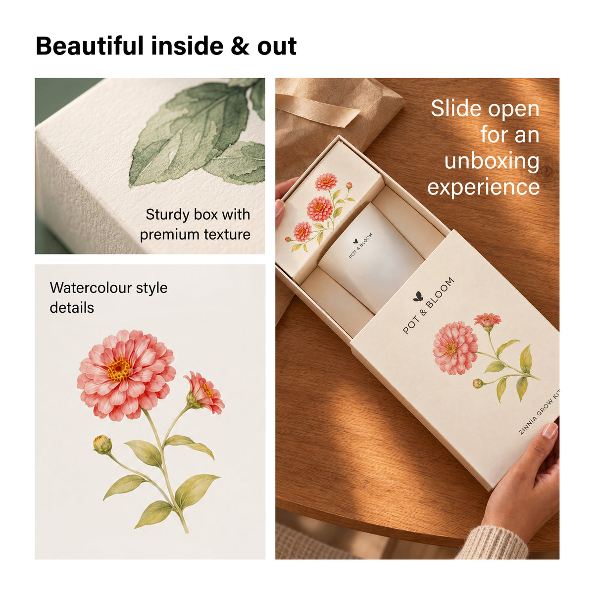 Zinnia Grow Kit
