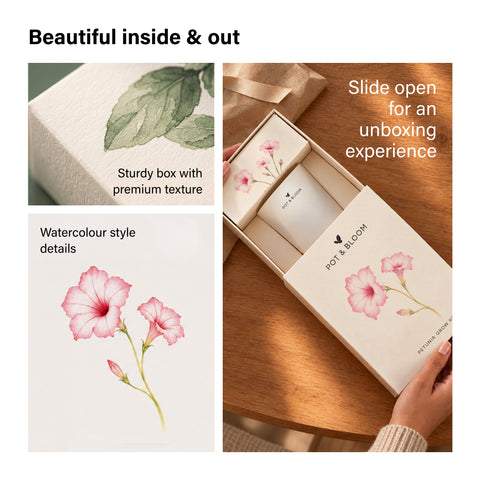 Petunia Grow Kit