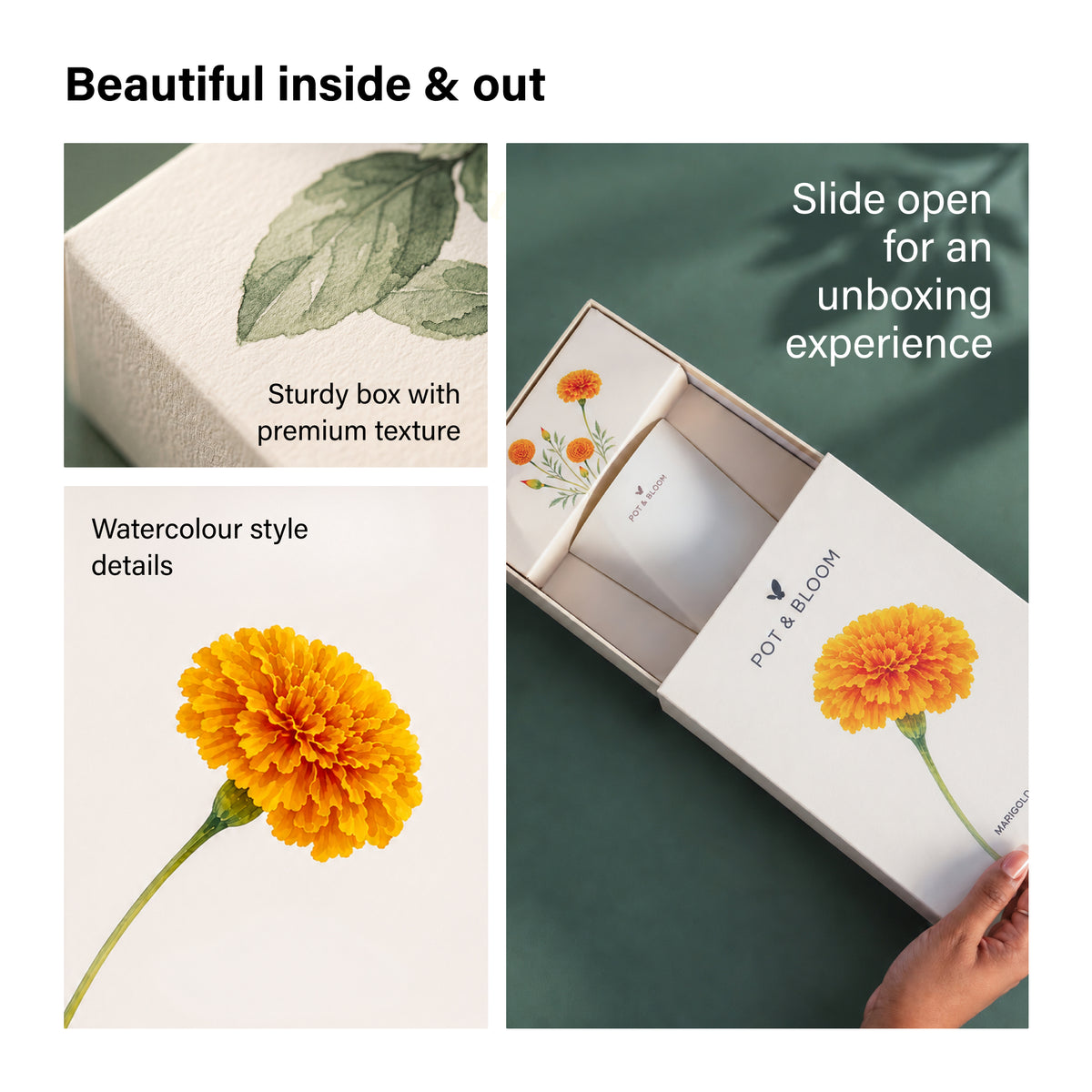 Marigold Grow Kit