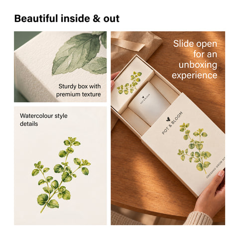 Oregano Kit