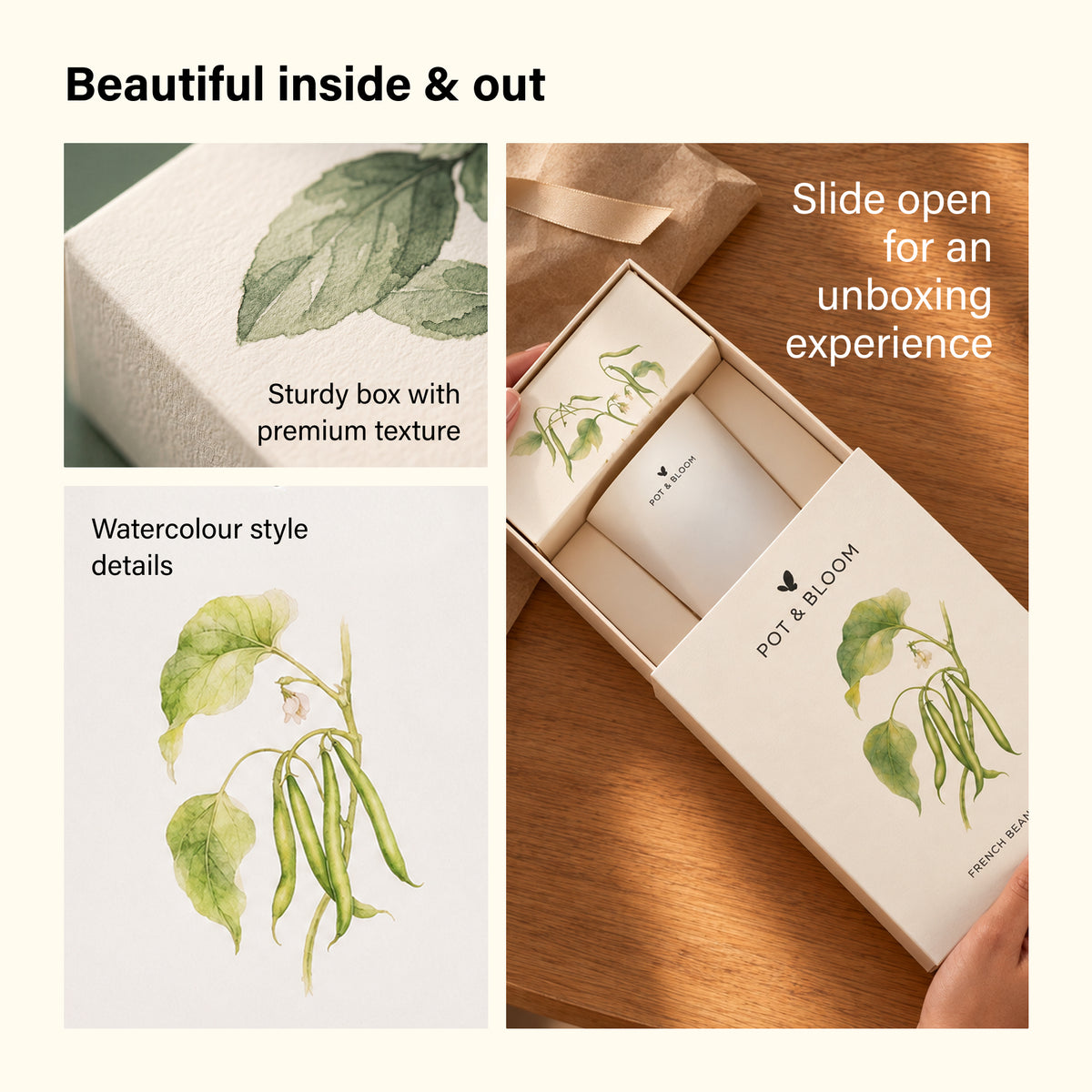 French Beans Grow Kit