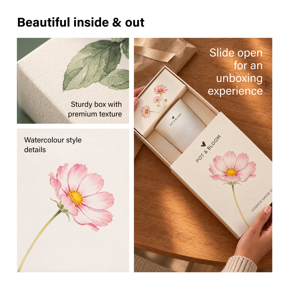 Cosmos Grow Kit