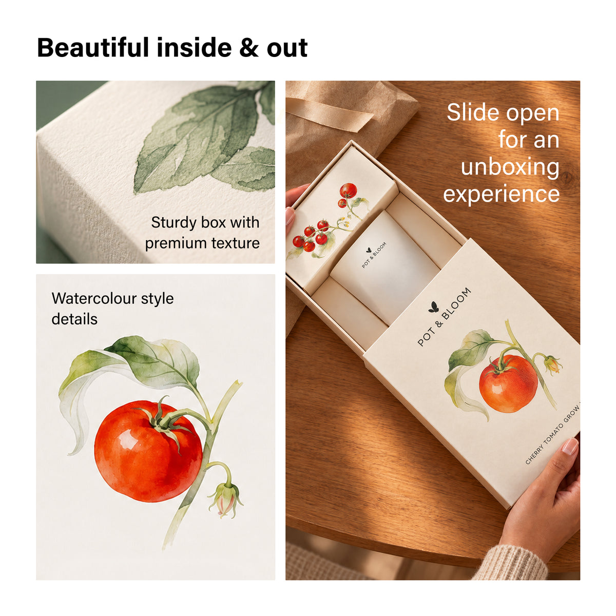Cherry Tomato Grow Kit