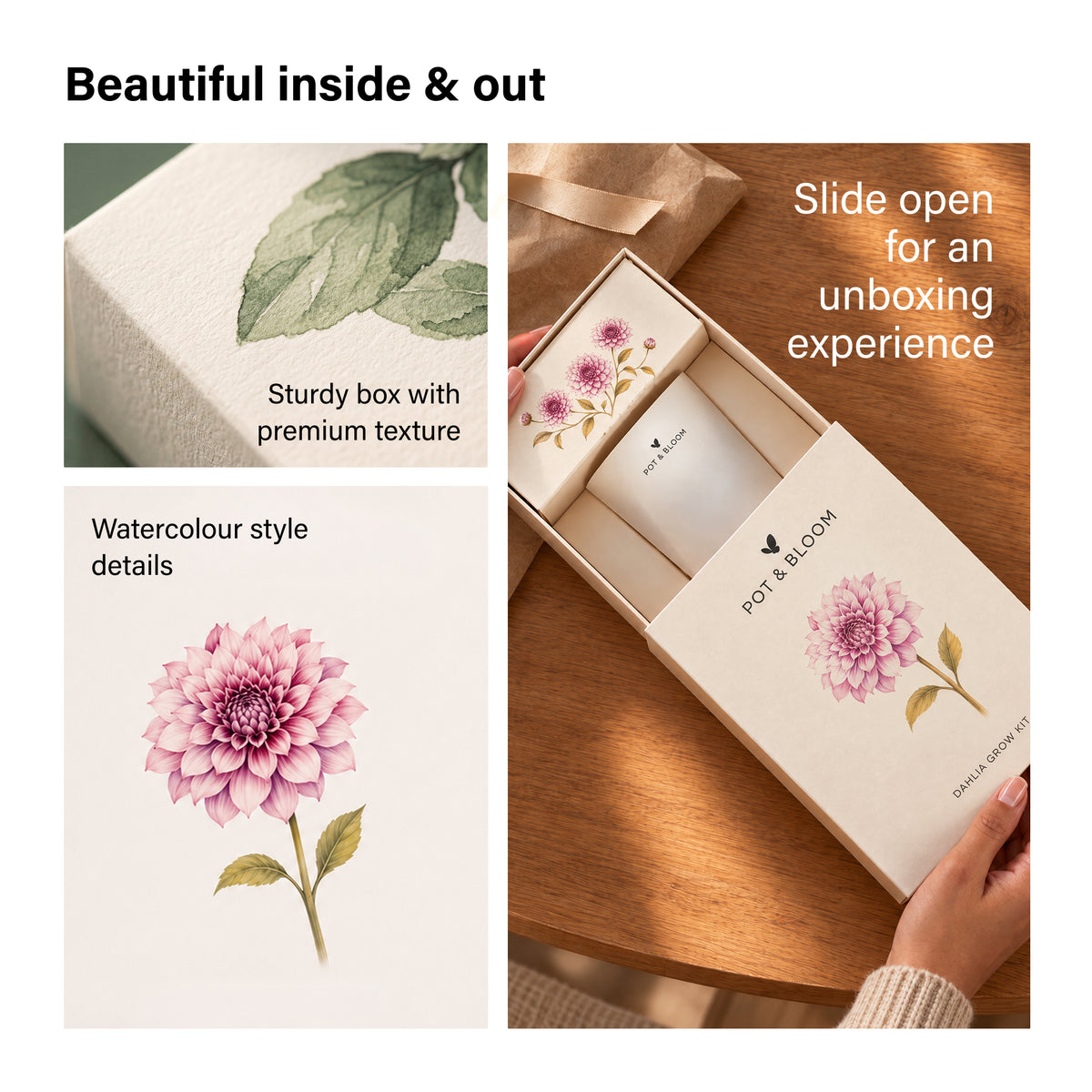 Dahlia Grow Kit