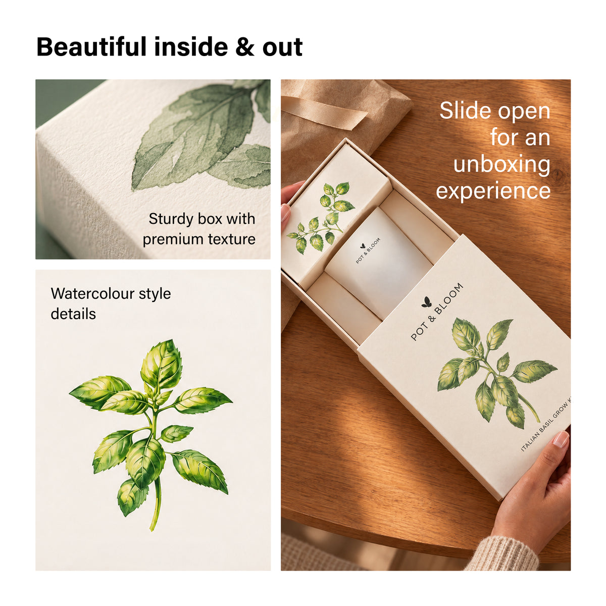 Italian Basil Kit