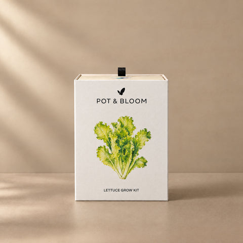 Lettuce Grow Kit