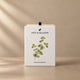Oregano Kit