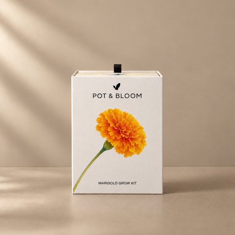 Marigold Grow Kit