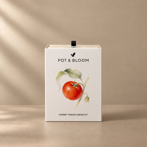 Cherry Tomato Grow Kit