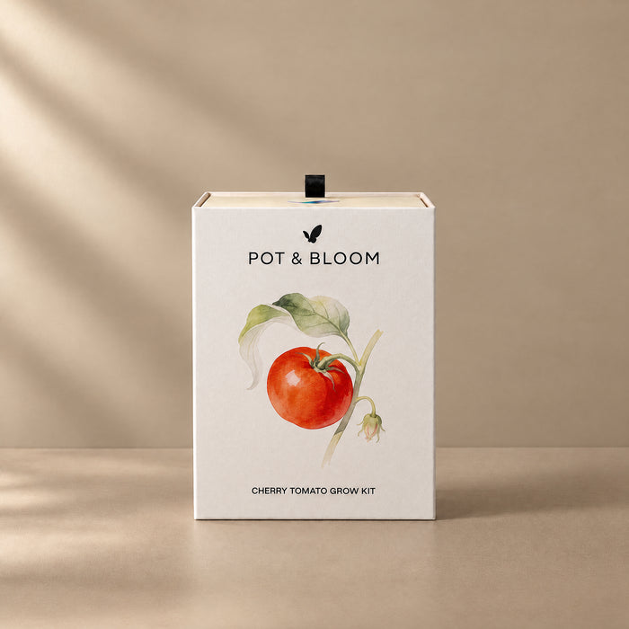 Cherry Tomato Grow Kit