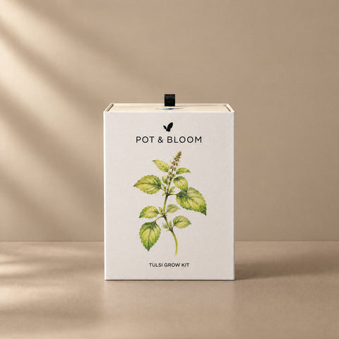 Tulsi Grow Kit