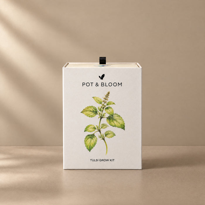 Tulsi Grow Kit