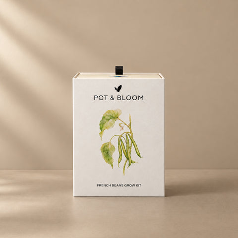 French Beans Grow Kit